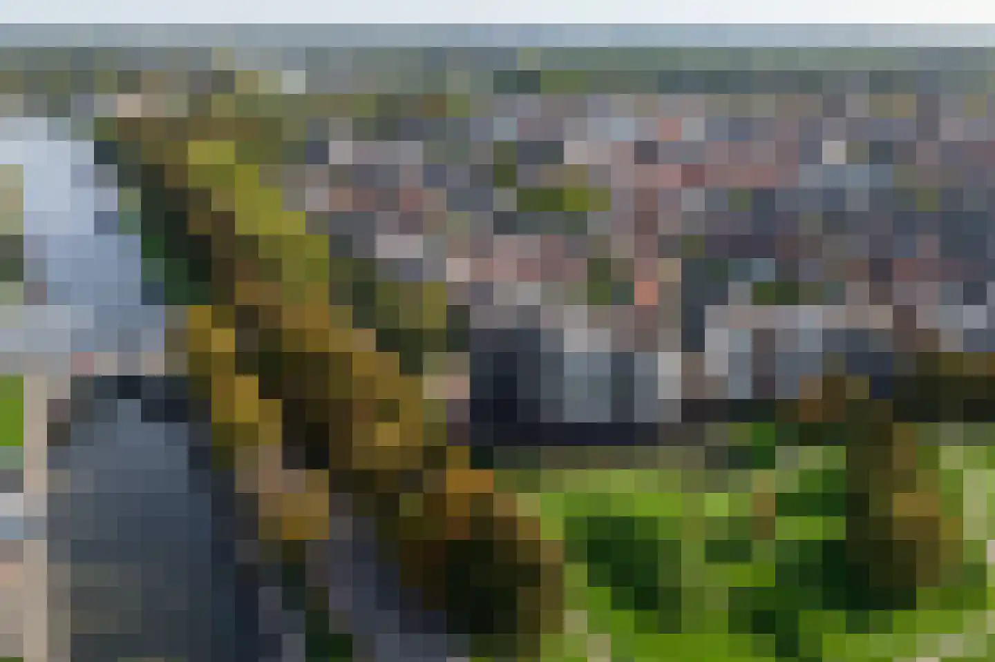Zwaanswal 10 Gorinchem thumbnail 6