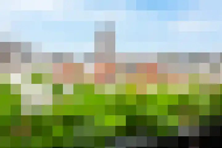 Zwaanswal 14 Gorinchem thumbnail 11