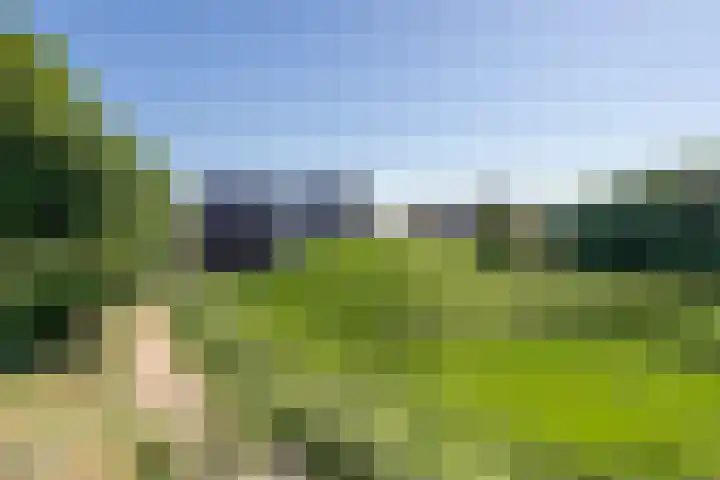 Zwaanswal 14 Gorinchem thumbnail 17