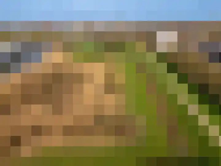 Zwaanswal 197 Gorinchem thumbnail 17