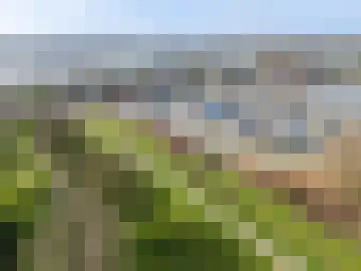 Zwaanswal 197 Gorinchem thumbnail 19