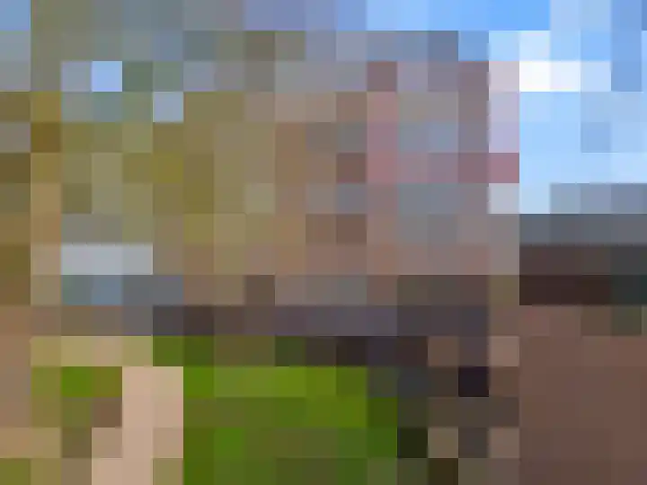 Zwaanswal 197 Gorinchem thumbnail 21