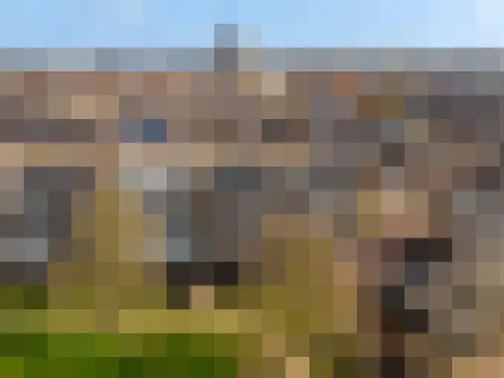 Zwaanswal 197 Gorinchem thumbnail 4
