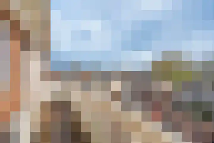 Zwaanswal 197 Gorinchem thumbnail 8