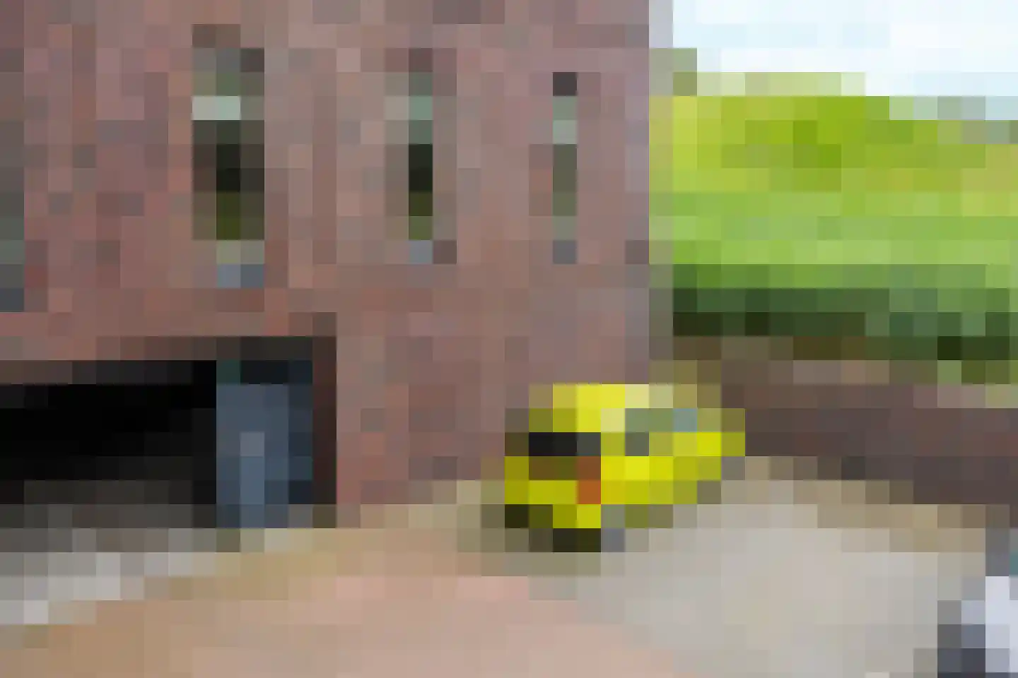 Zwaanswal 4 Gorinchem thumbnail 20