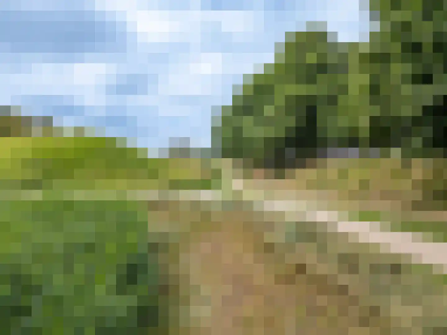 Zwaanswal 4 Gorinchem thumbnail 23