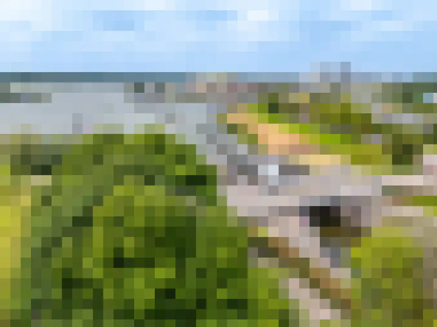 Zwaanswal 4 Gorinchem thumbnail 24