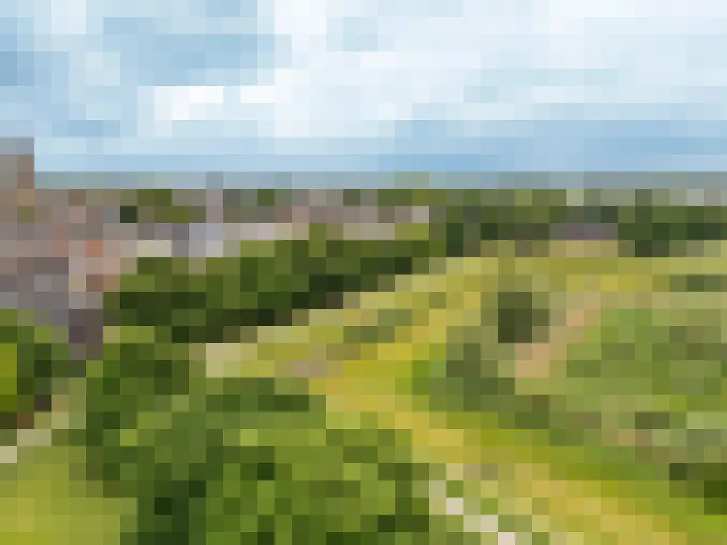 Zwaanswal 4 Gorinchem thumbnail 25