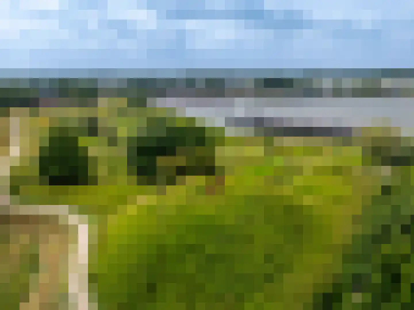 Zwaanswal 4 Gorinchem thumbnail 4