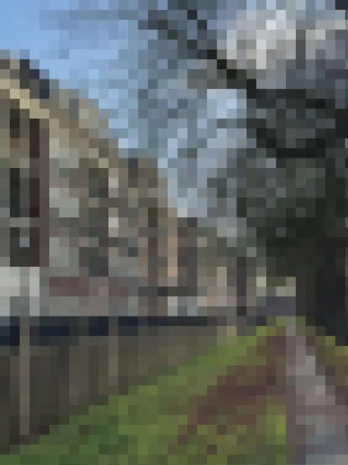Zwaanswal 87 Gorinchem thumbnail 4