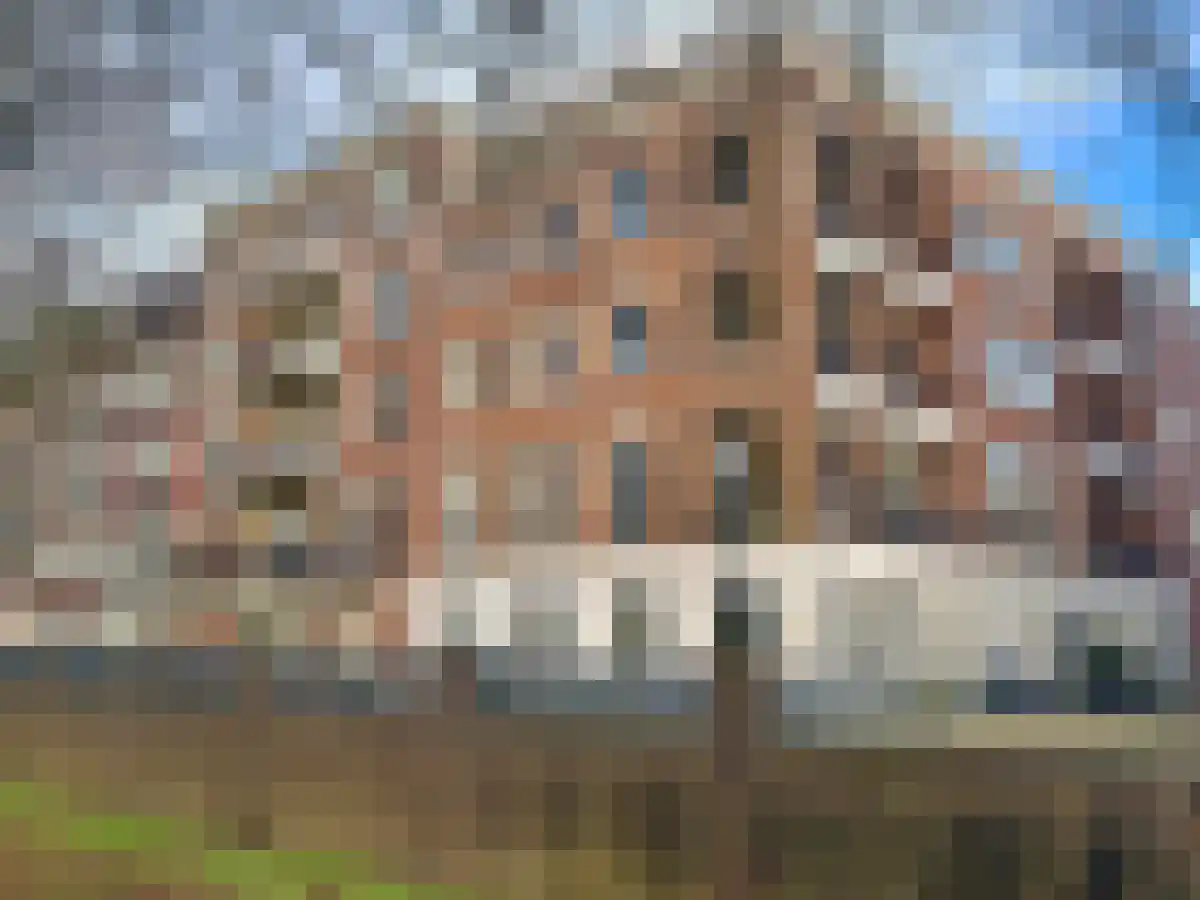 Zwaanswal 87 Gorinchem thumbnail 5