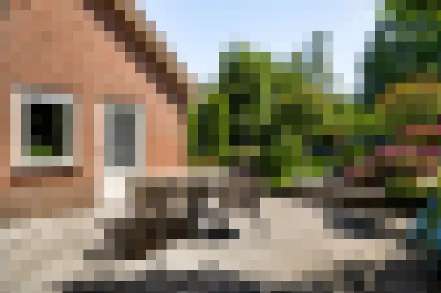 Zwaansweg 8 Swalmen thumbnail 19