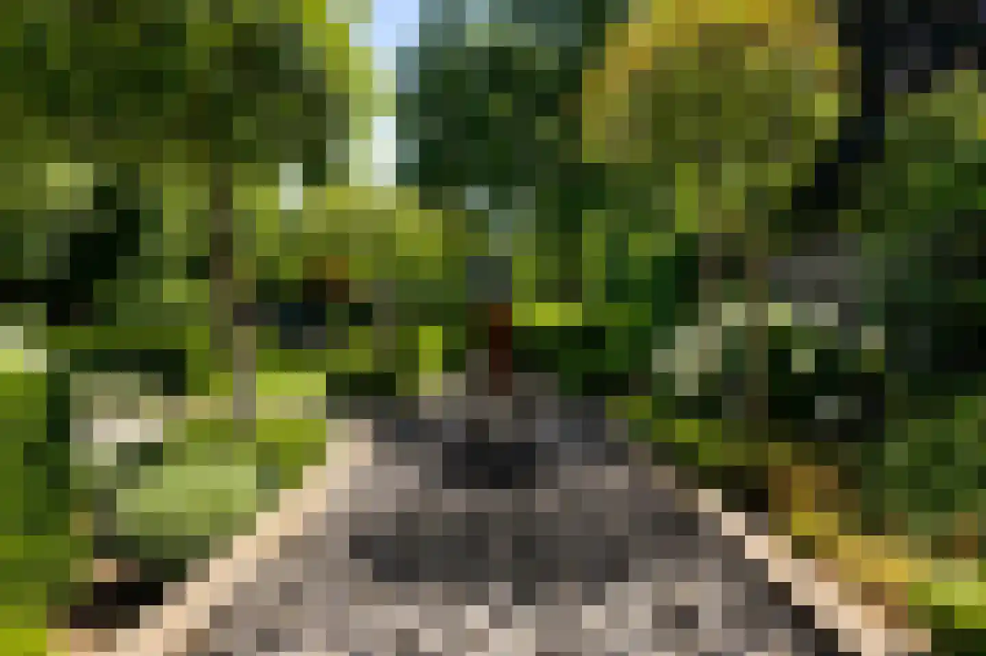 Zwaansweg 8 Swalmen thumbnail 21