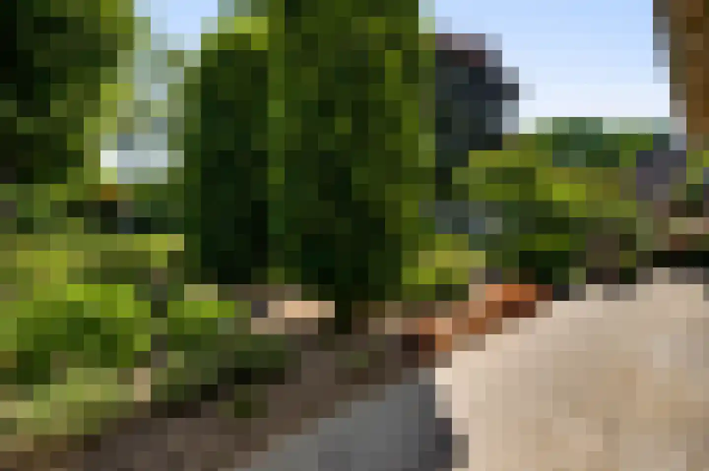 Zwaansweg 8 Swalmen thumbnail 22