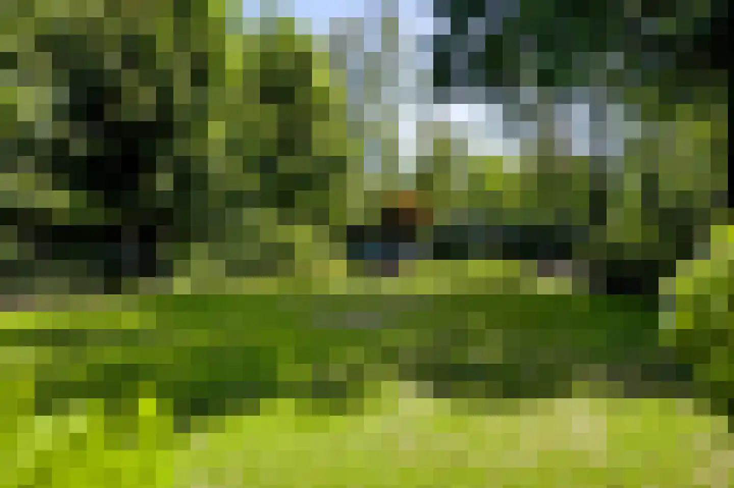 Zwaansweg 8 Swalmen thumbnail 25