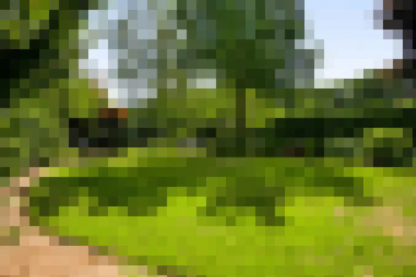 Zwaansweg 8 Swalmen thumbnail 26