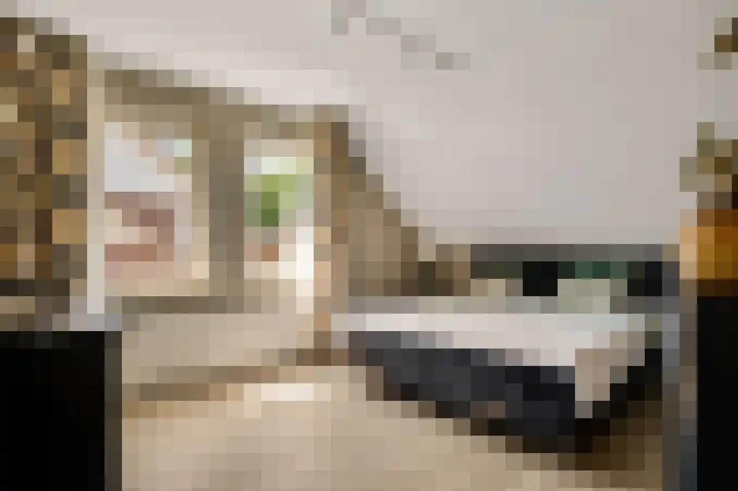 Zwaansweg 8 Swalmen thumbnail 33
