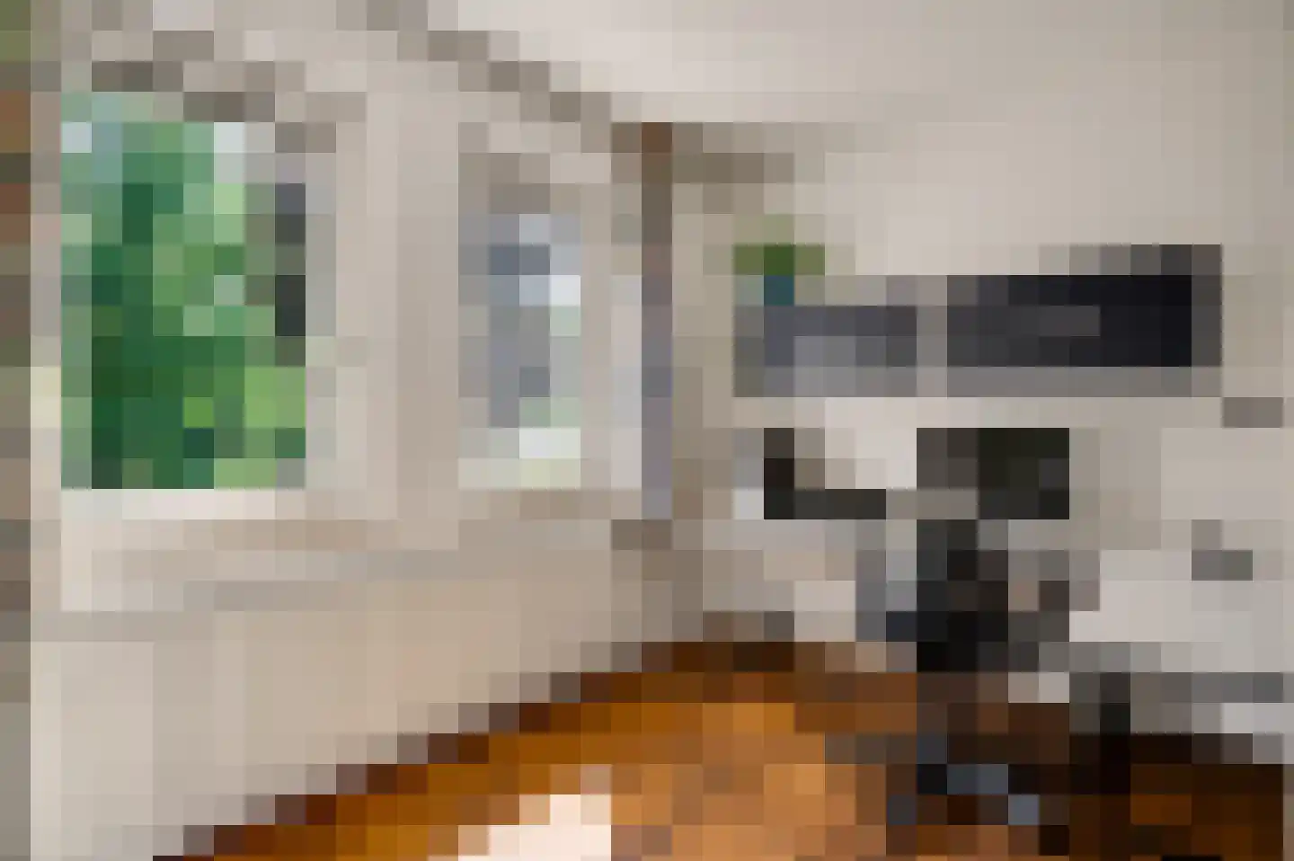 Zwaansweg 8 Swalmen thumbnail 35