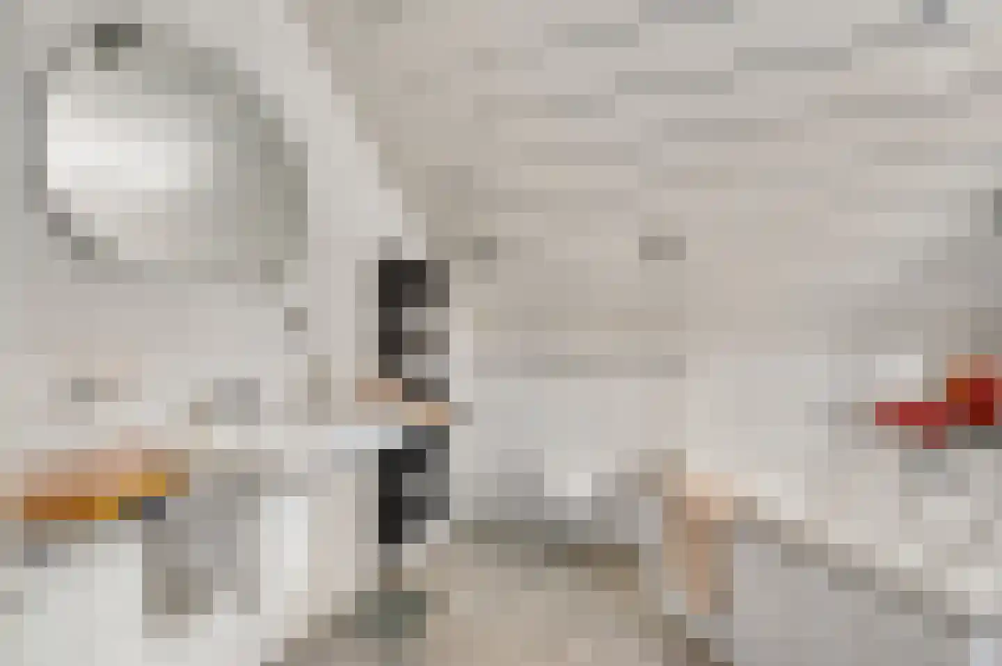 Zwaansweg 8 Swalmen thumbnail 37