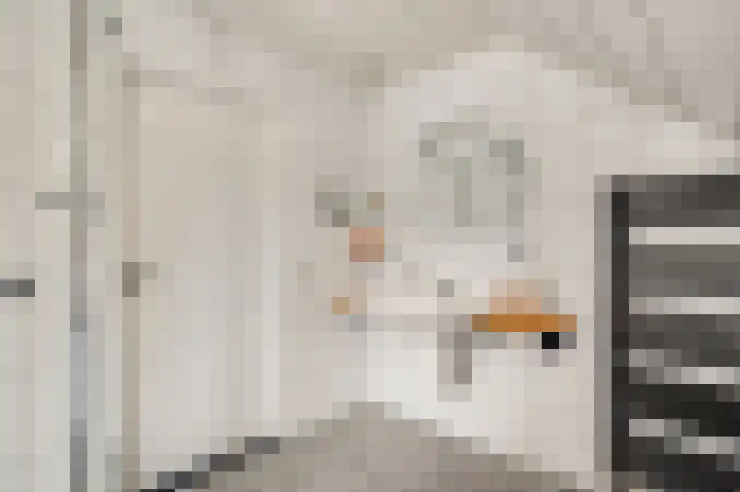 Zwaansweg 8 Swalmen thumbnail 39