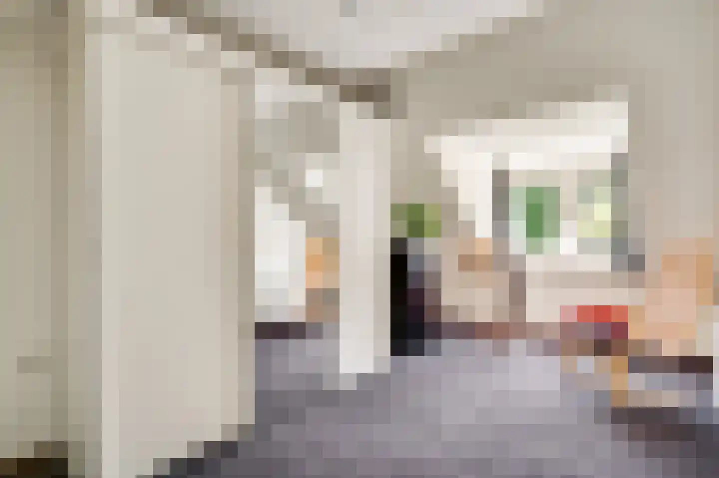 Zwaansweg 8 Swalmen thumbnail 40