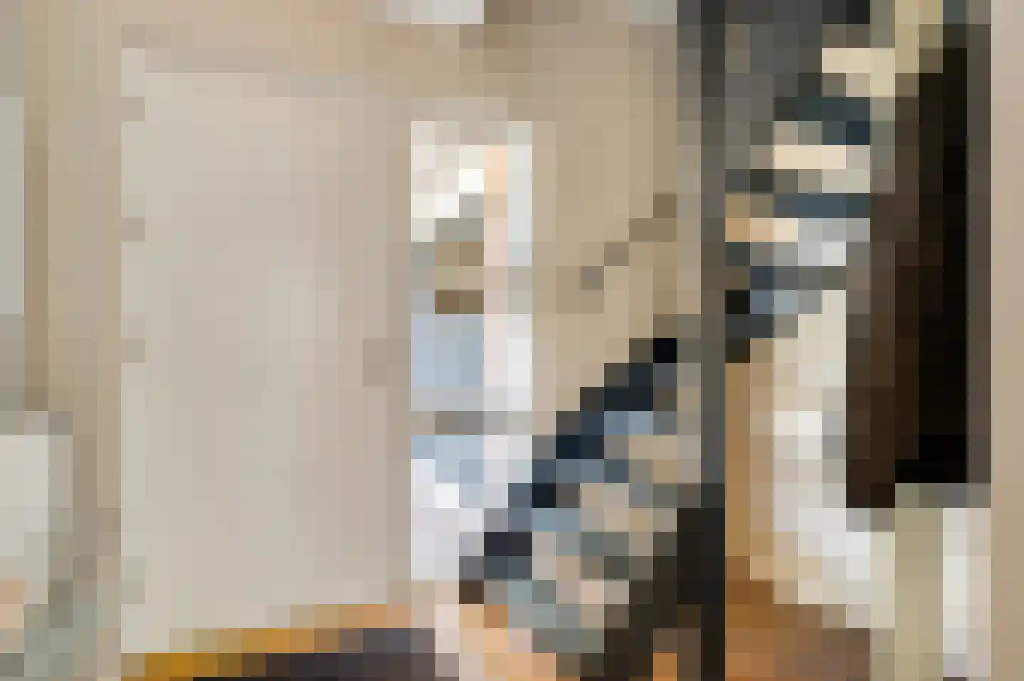 Zwaansweg 8 Swalmen thumbnail 8