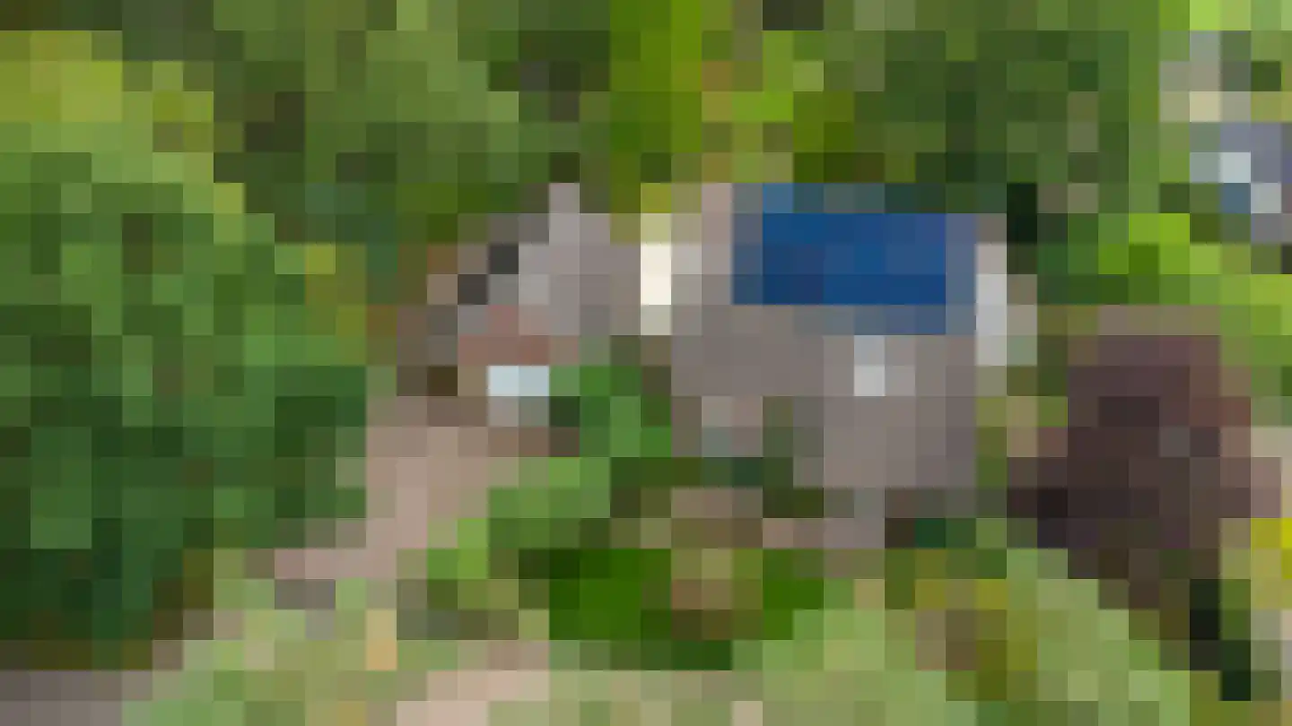 Zwaantjesdreef 18 A Rucphen thumbnail 13