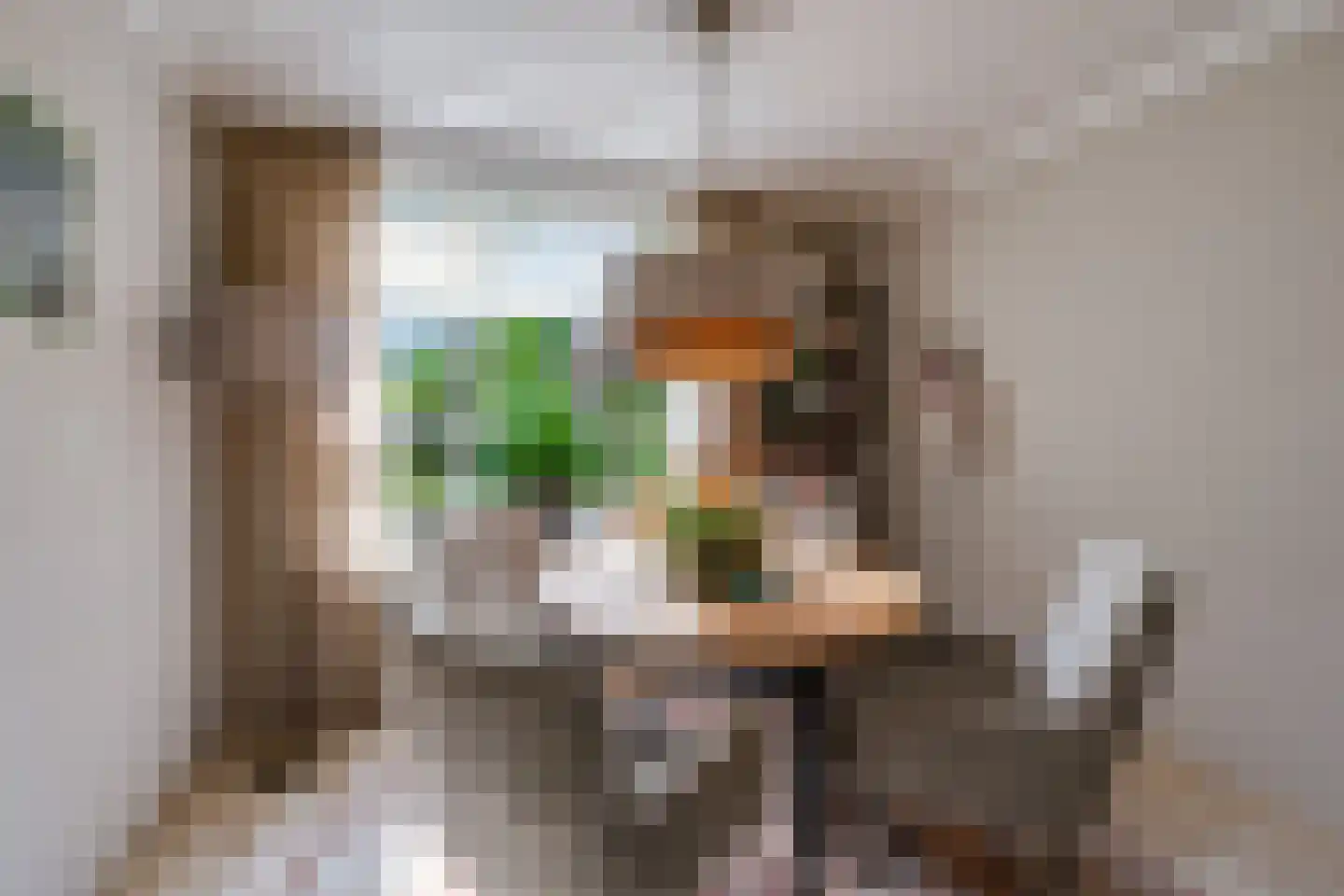 Zwaantjesdreef 18 A Rucphen thumbnail 17