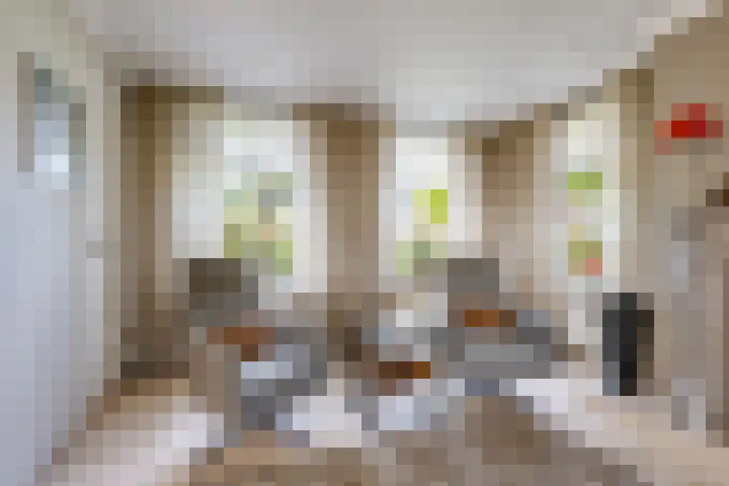 Zwaantjesdreef 18 A Rucphen thumbnail 21