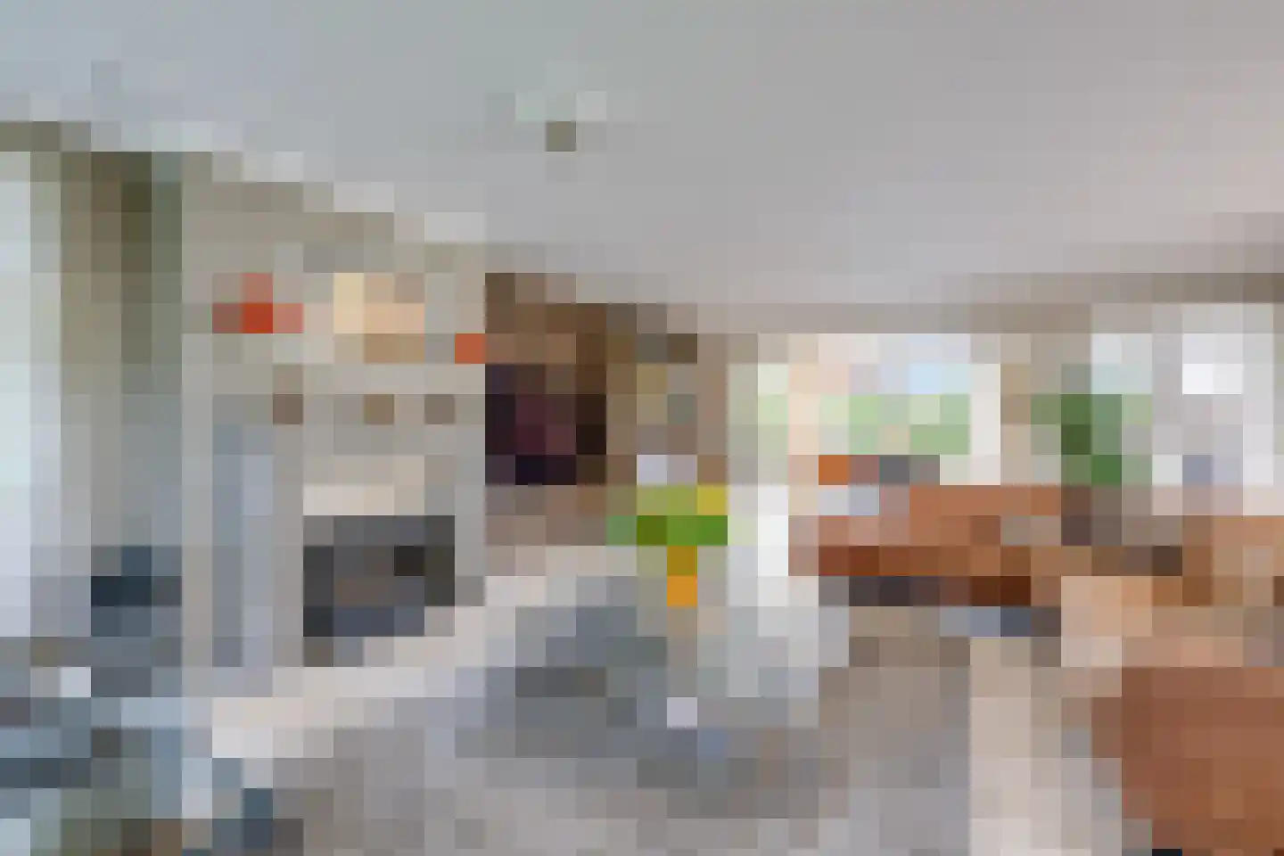 Zwaantjesdreef 18 A Rucphen thumbnail 22