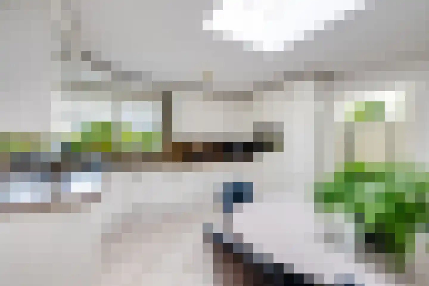 Zwaantjesdreef 18 A Rucphen thumbnail 26