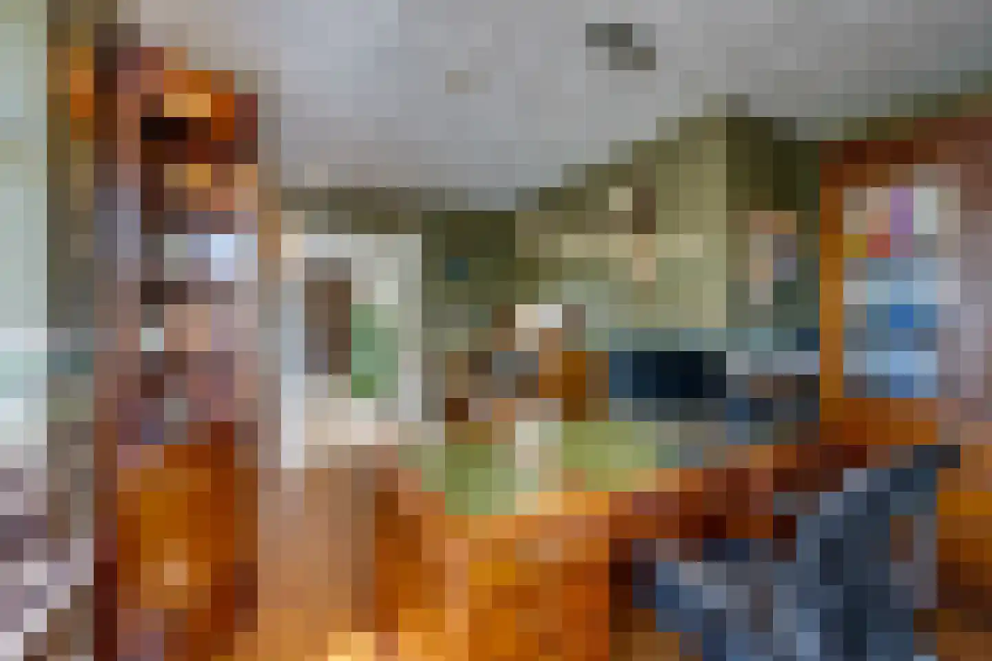 Zwaantjesdreef 18 A Rucphen thumbnail 32