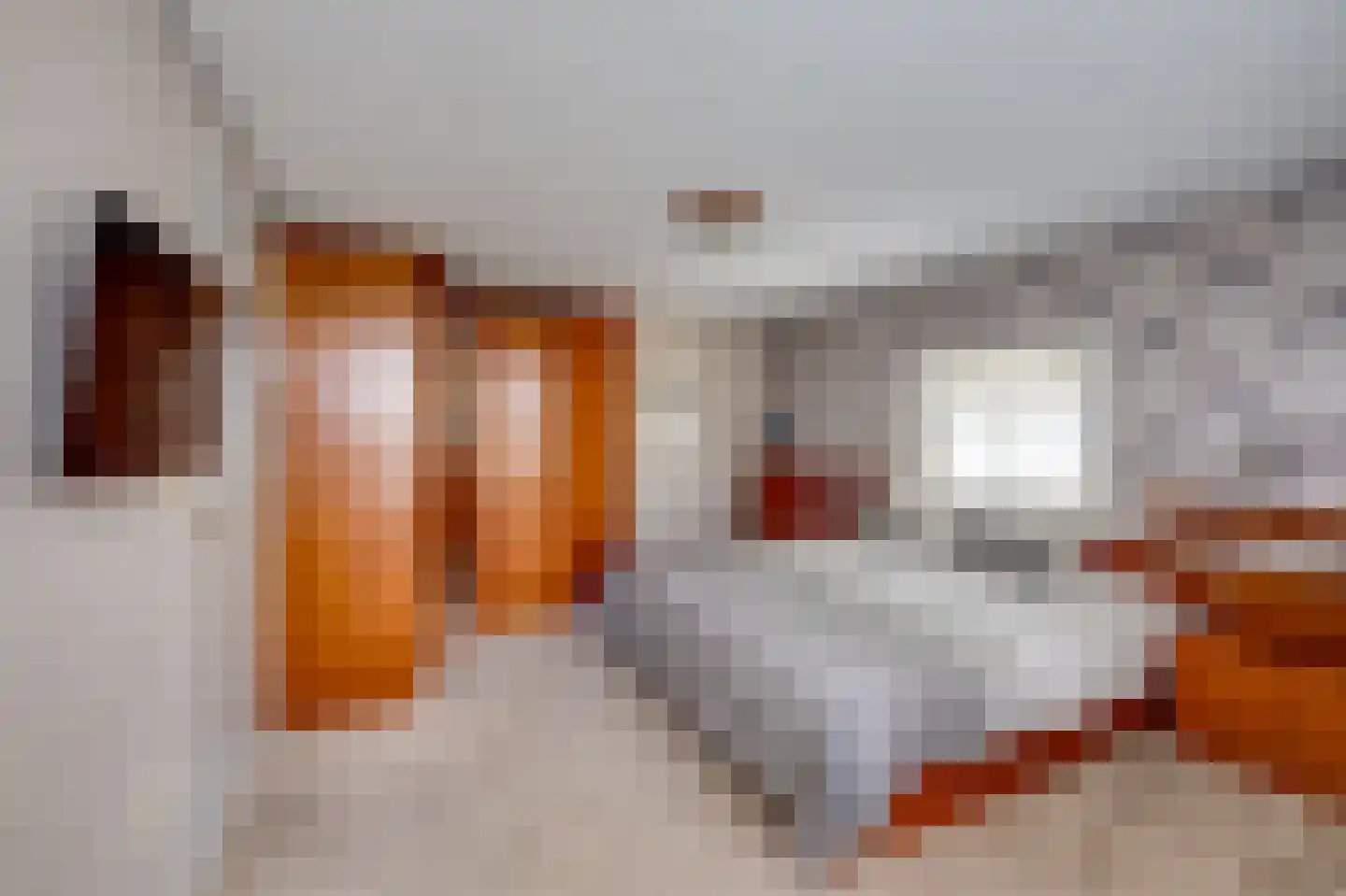 Zwaantjesdreef 18 A Rucphen thumbnail 34