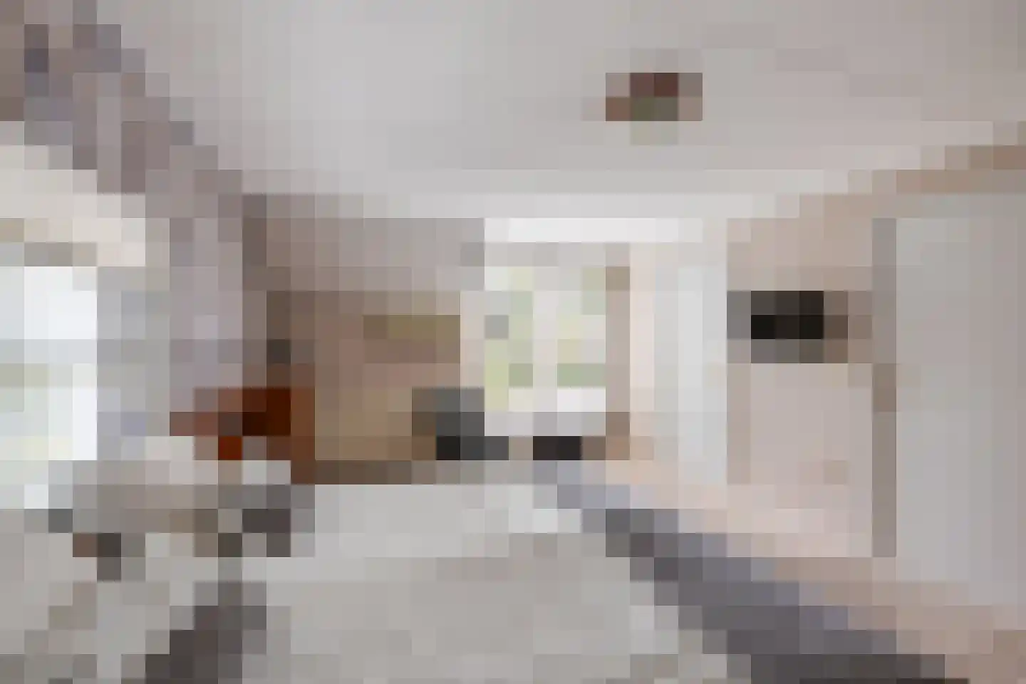 Zwaantjesdreef 18 A Rucphen thumbnail 35