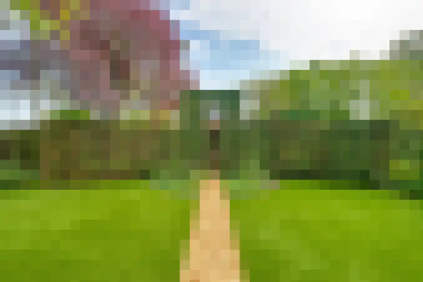 Zwaantjesdreef 18 A Rucphen thumbnail 54
