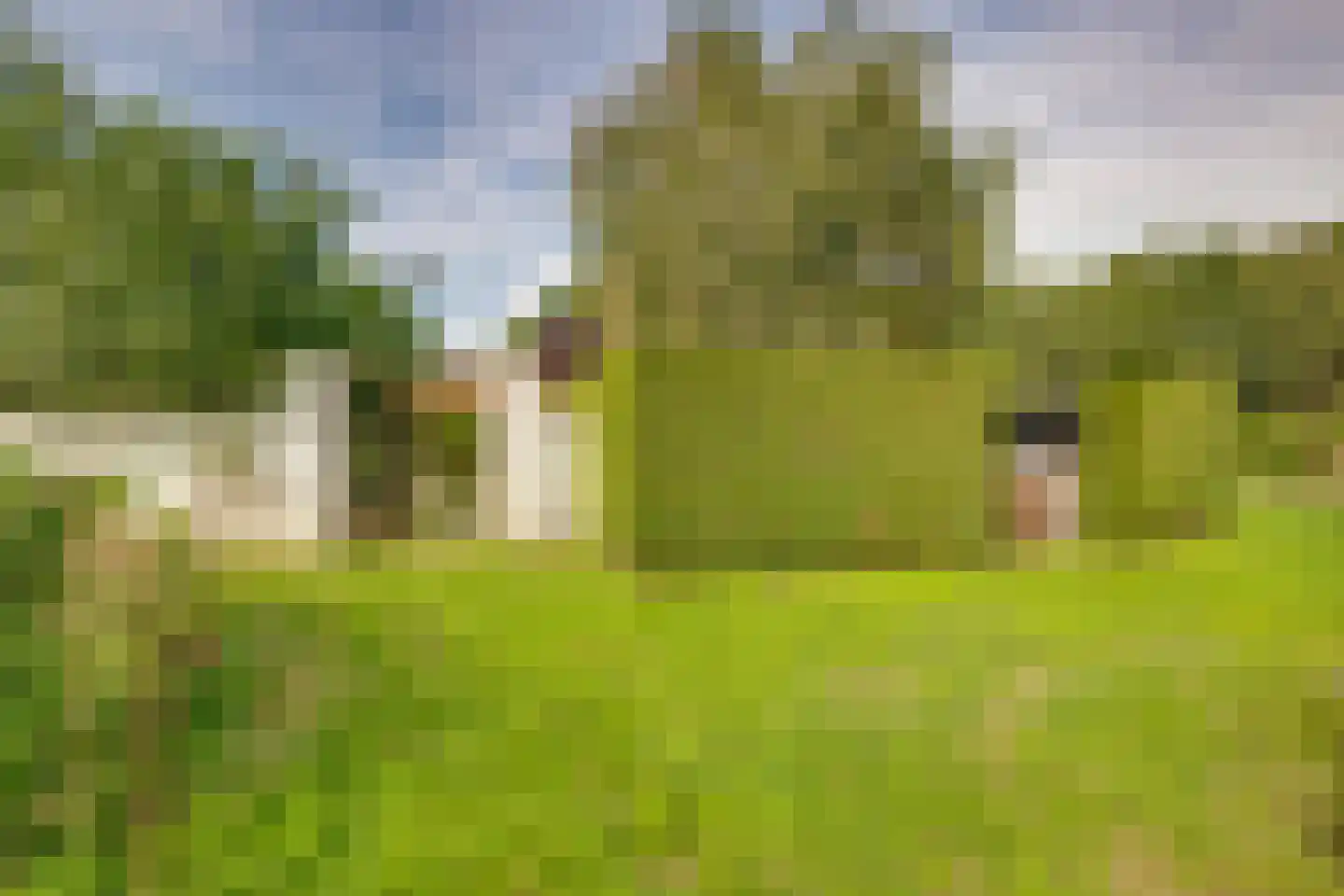 Zwaantjesdreef 18 A Rucphen thumbnail 61