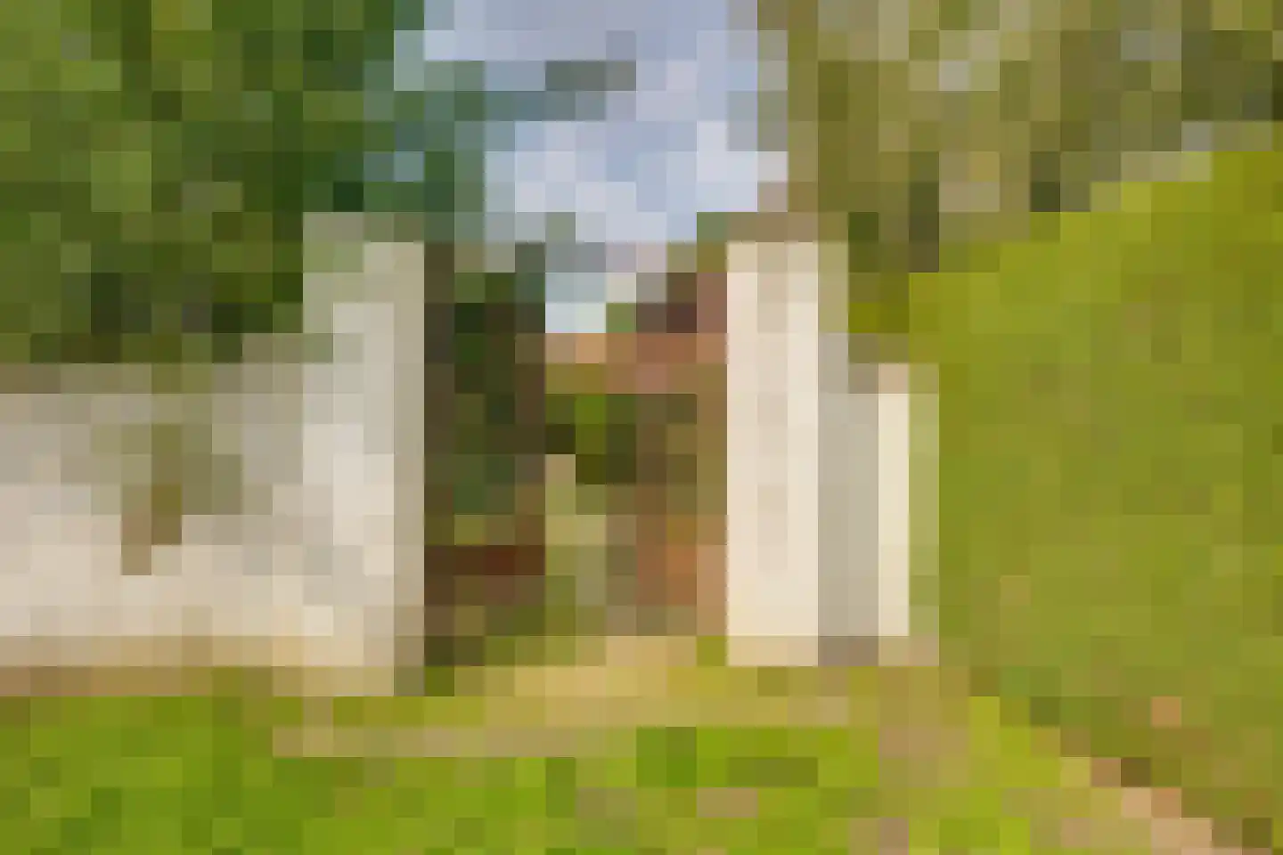 Zwaantjesdreef 18 A Rucphen thumbnail 62