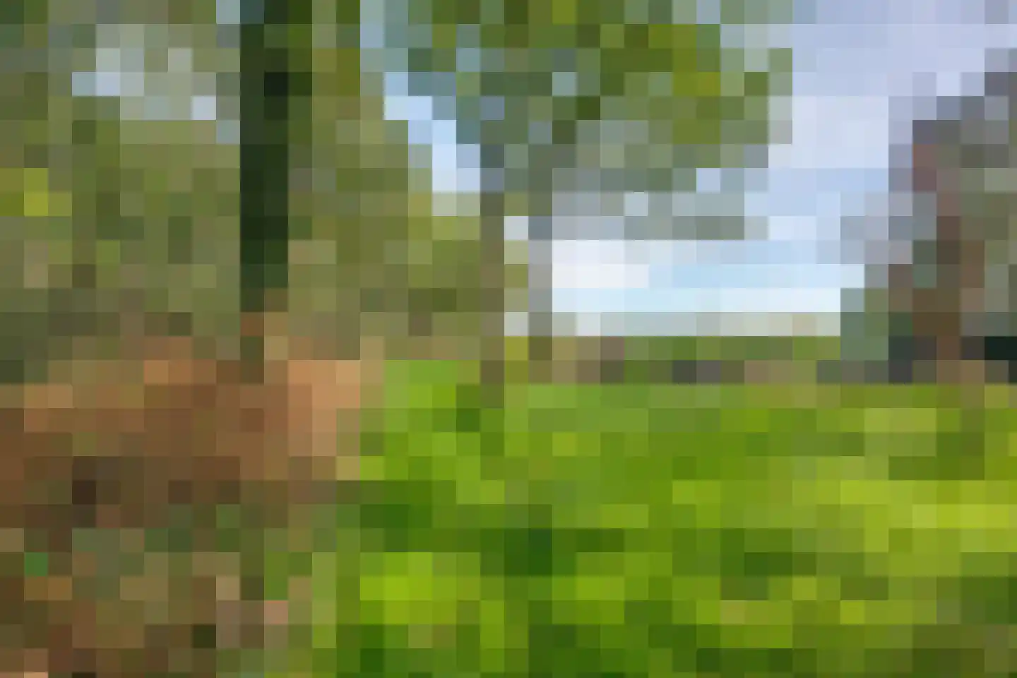 Zwaantjesdreef 18 A Rucphen thumbnail 63