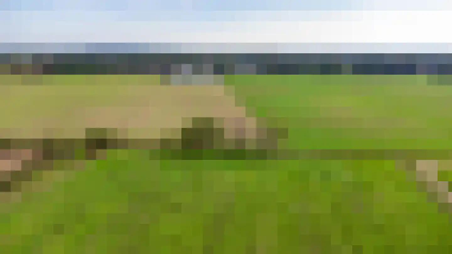 Zwaantjesdreef 18 A Rucphen thumbnail 64
