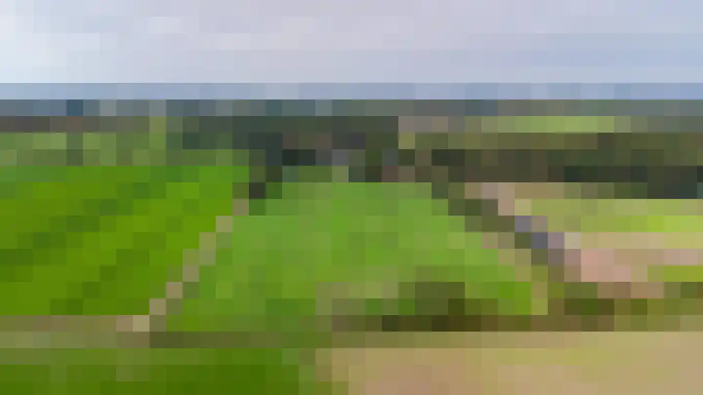 Zwaantjesdreef 18 A Rucphen thumbnail 65