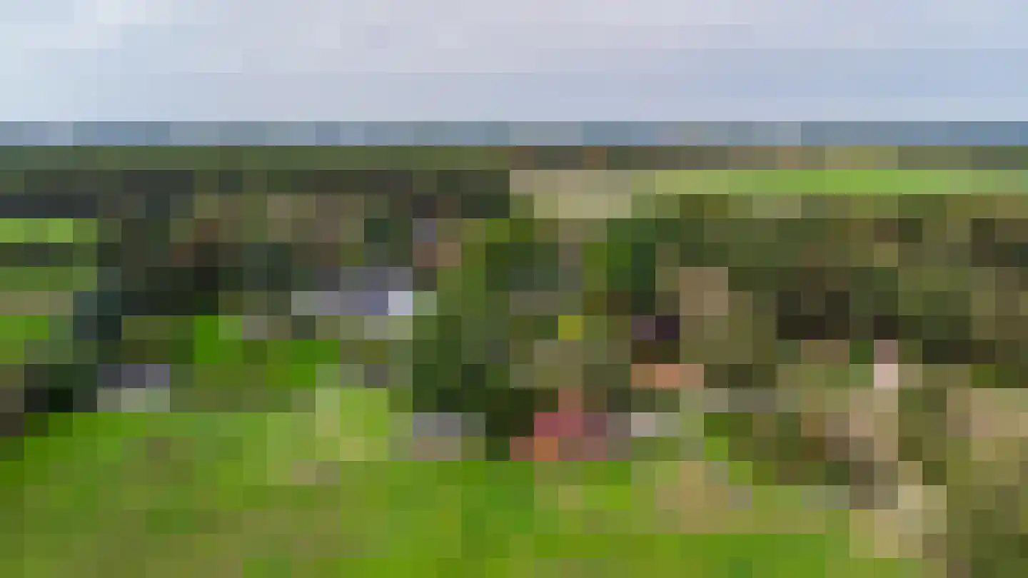 Zwaantjesdreef 18 A Rucphen thumbnail 66