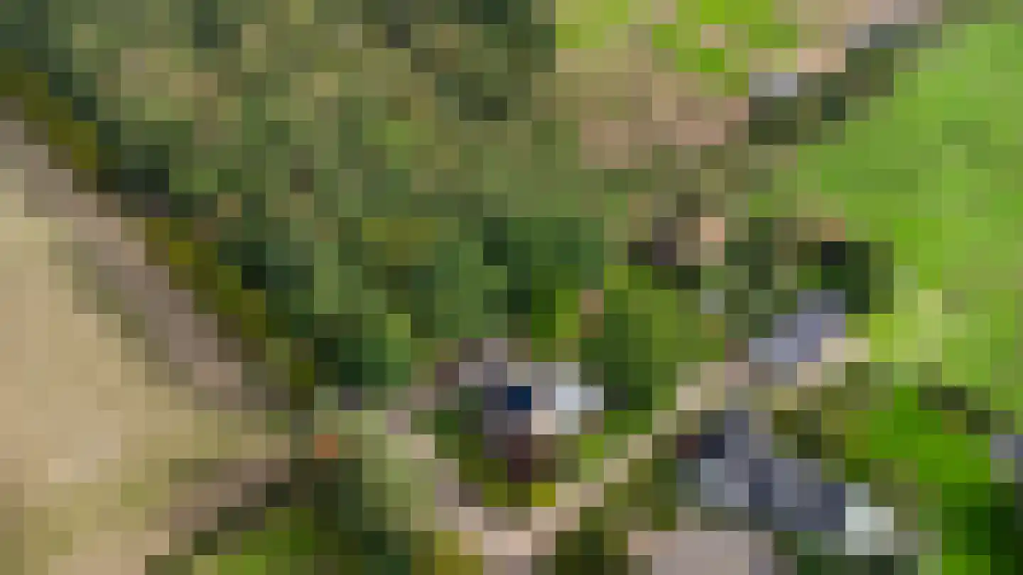 Zwaantjesdreef 18 A Rucphen thumbnail 9