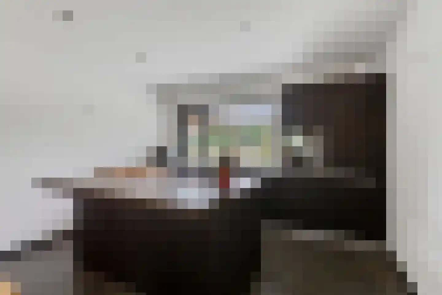 Zwaantjesweg 1 A Breda thumbnail 12
