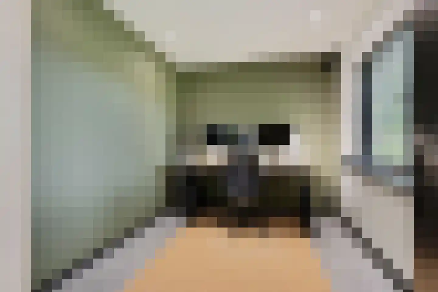 Zwaantjesweg 1 A Breda thumbnail 13