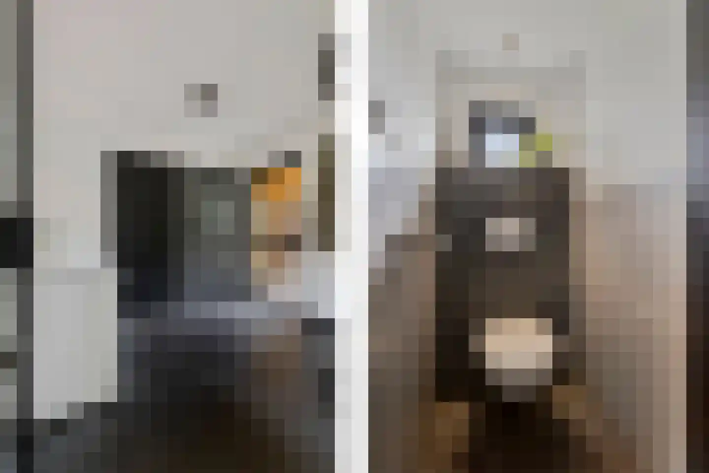 Zwaantjesweg 1 A Breda thumbnail 17