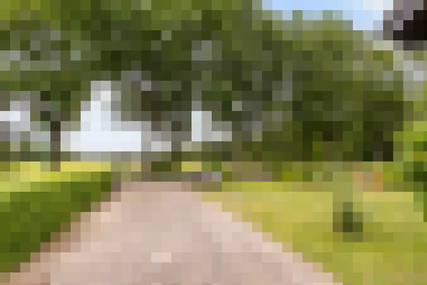 Zwaantjesweg 1 A Breda thumbnail 30