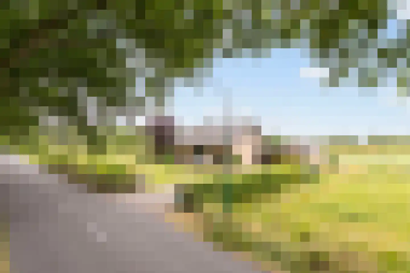 Zwaantjesweg 1 A Breda thumbnail 31