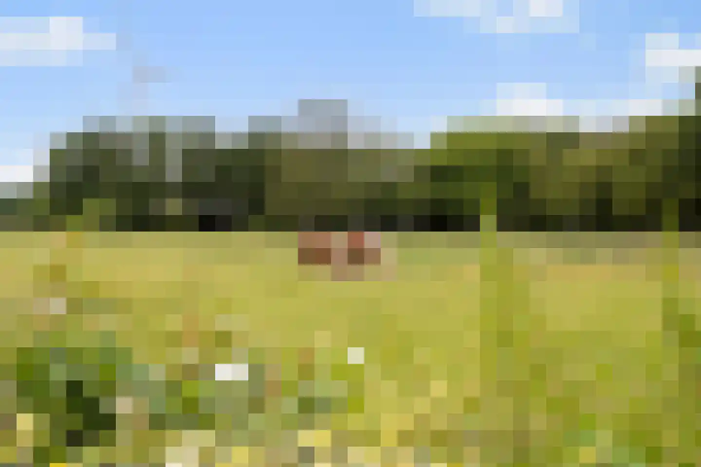 Zwaantjesweg 1 A Breda thumbnail 5