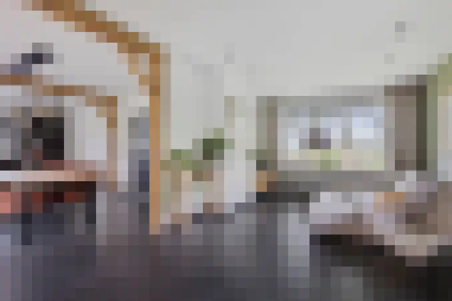 Zwaantjesweg 1 A Breda thumbnail 8