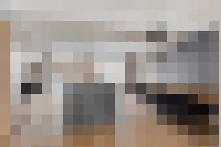 Zwaanvelden 30 Best thumbnail 10